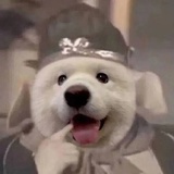 蒜香黄油