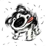 G加贺