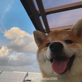 九°