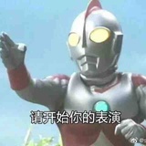 宝哥爱自由
