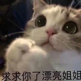 七七很轻松
