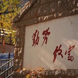 毛茸茸大祭司