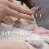 武陵花