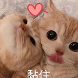 哈哈啦咔咔