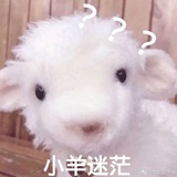 你自己心里清楚