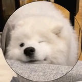 玛卡巴卡