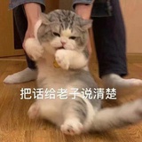 没心没肺小废物