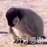 卢_某_