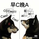每天一起搬砖
