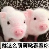 恨我你就亲亲我