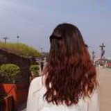 芙蕖