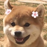 没事吃吃馒头