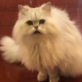 思杰