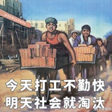 吃饭睡觉打豆豆