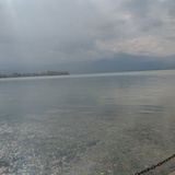 曦