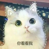 酒酿蜜桃酱