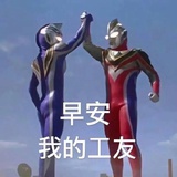 哒壳不必