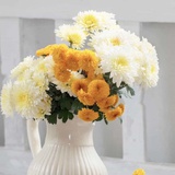 Miss婷🌻
