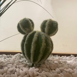 就离谱
