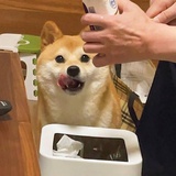 Coloré