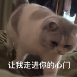 吸一口猫头