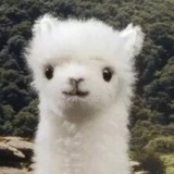 吃瓜群众
