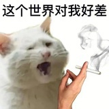 苦瓜柠檬汁