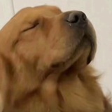 一杯凉白开