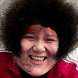 拉布拉多拉的多