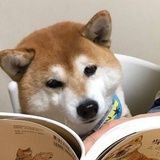 退堂鼓运动员