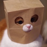 星星是宇宙的灰