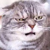 霹雳点心