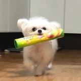 小林佳奈