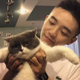 岁月轻狂