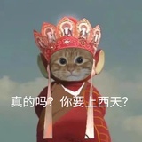 菠萝后妈