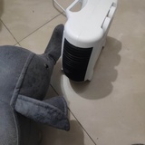 昊的树洞