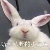 臭孔明