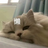 谁都认不出我