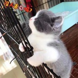 请帮我倒满