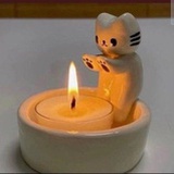 小猫烤火