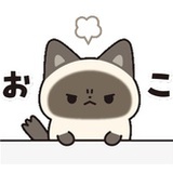 豆友228259321