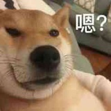 大葱鸭吖呀