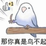 全网唯一岁狼g