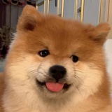 西瓜🍉