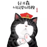 一只肥橘猫