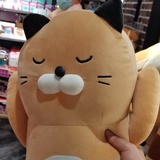 企鹅崽