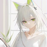 银狐