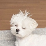 正是缺觉的年纪