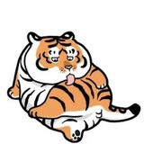 张少
