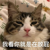 美少女壮士